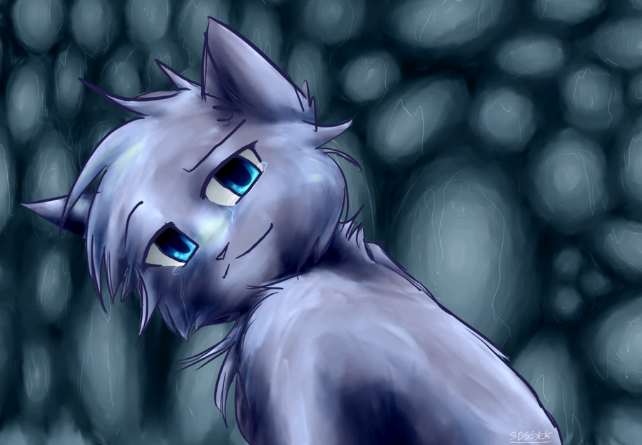 bluestar___rain___by_spottedfire_cat-d3122cv